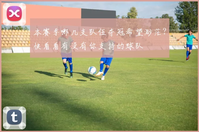 本赛季哪几支队伍夺冠希望渺茫？快看看有没有你支持的球队